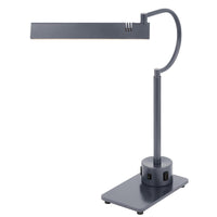 Modern Desk Lamp with LED Light and 2 USB Ports, 18 Inch Iron Gray Finish - BM351644
