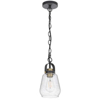 Lantern Accent Ceiling Pendant Light, Clear Glass Shade, 13 Inch Black - BM351645