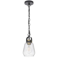 Lantern Accent Ceiling Pendant Light, Clear Glass Shade, 13 Inch Black - BM351645