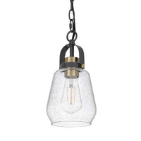 Lantern Accent Ceiling Pendant Light, Clear Glass Shade, 13 Inch Black - BM351645