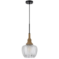 Pendant Light, Leaf Pattern Glass Shade, Burlap Rope Accent, Black Metal - BM351685