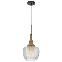 Pendant Light, Leaf Pattern Glass Shade, Burlap Rope Accent, Black Metal - BM351685