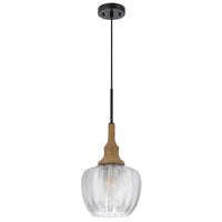 Pendant Light, Leaf Pattern Glass Shade, Burlap Rope Accent, Black Metal - BM351685