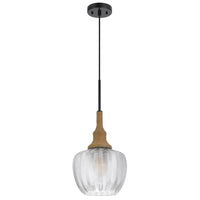 Pendant Light, Leaf Pattern Glass Shade, Burlap Rope Accent, Black Metal - BM351685