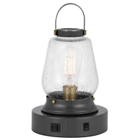 Jerry Lantern Table Lamp, Bubble Glass Shade, USB Ports, Dark Bronze - BM351686