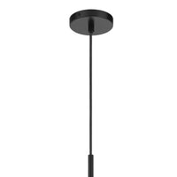 Pendant Light, Round Smoked Glass Shade, Brown Wood Accent, Black Metal - BM351688
