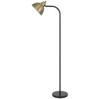 Floor Lamp, Vintage Style Dome Shade, Industrial Black and Antique Brass - BM351722