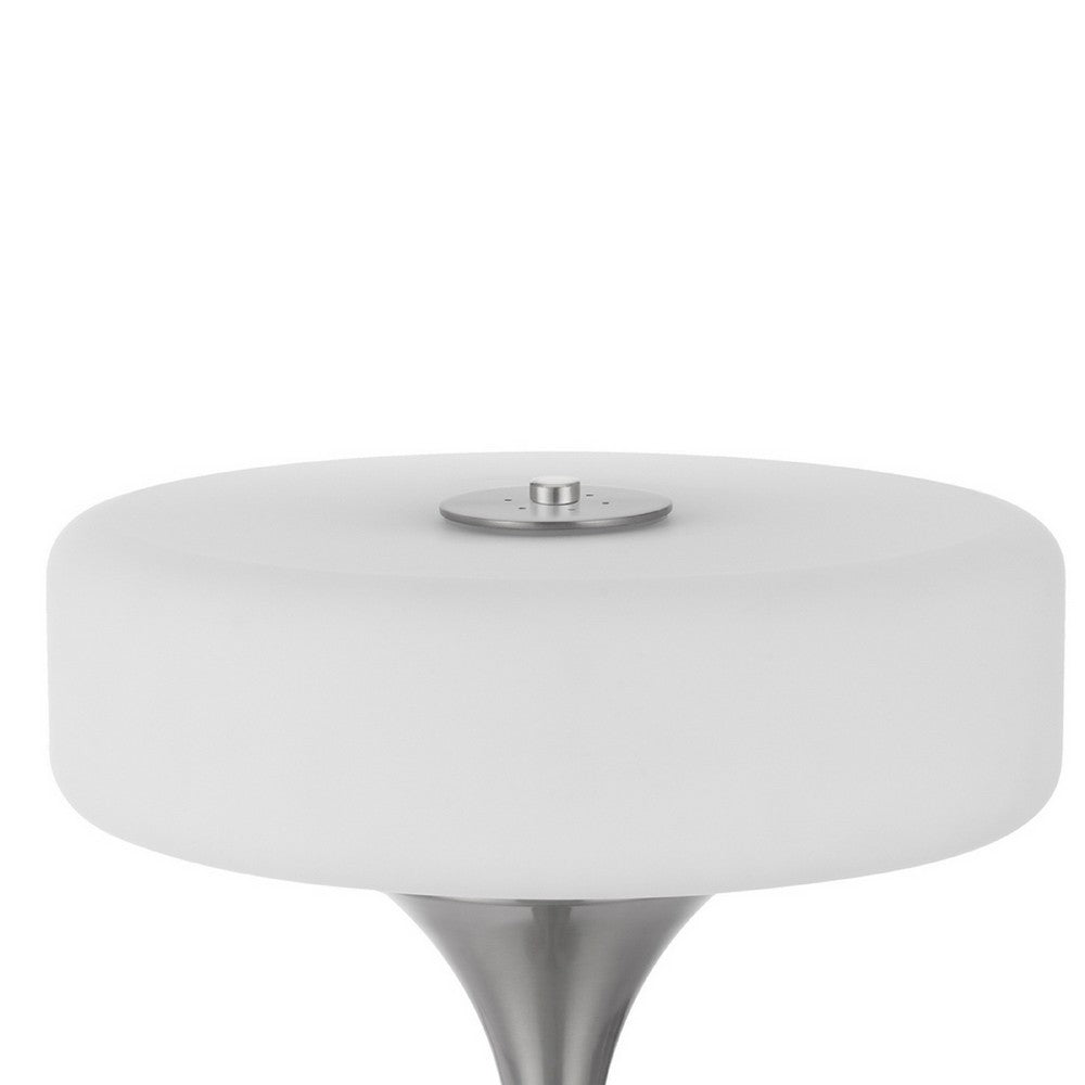 Table Lamp, USB Ports, Frosted White Glass Shade, 22 Inch Brushed Steel - BM351732