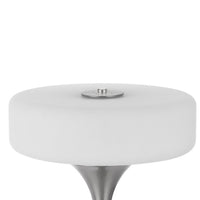Table Lamp, USB Ports, Frosted White Glass Shade, 22 Inch Brushed Steel - BM351732