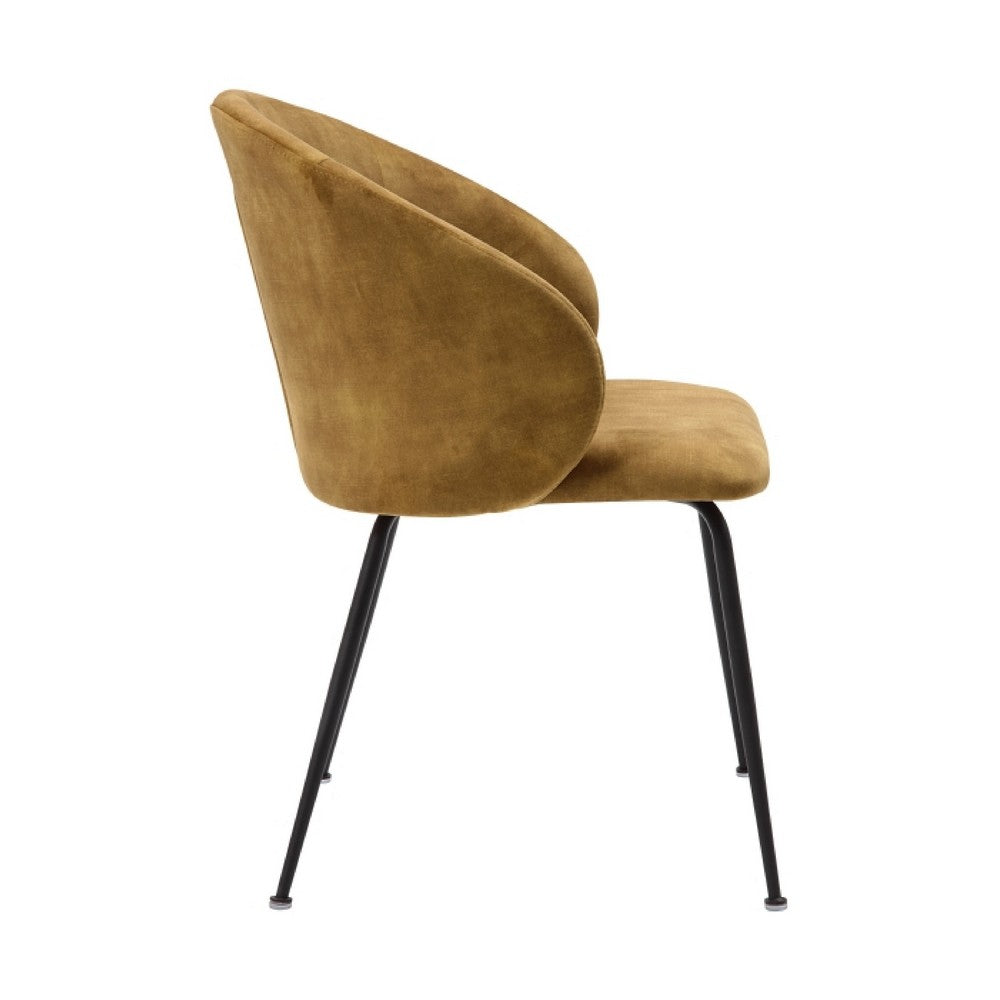 Salie Dining Chair Set of 2, Curved Back, Mustard Yellow Velvet, Black - BM351874