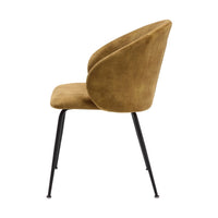 Salie Dining Chair Set of 2, Curved Back, Mustard Yellow Velvet, Black - BM351874