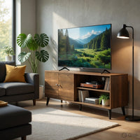 Donna TV Stand Media Console, Shelves and 2 Door Cabinet, Brown Wood 63 Inch