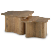Anvy Accent Coffee Table, Set of 2, Abstract Design, Brown Mango Wood