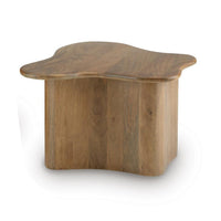 Anvy Accent Coffee Table, Set of 2, Abstract Design, Brown Mango Wood