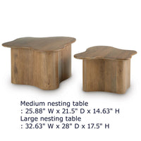 Anvy Accent Coffee Table, Set of 2, Abstract Design, Brown Mango Wood