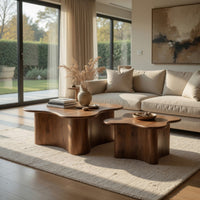 Anvy Accent Coffee Table, Set of 2, Abstract Design, Brown Mango Wood