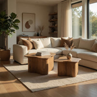 Anvy Accent Coffee Table, Set of 2, Abstract Design, Brown Mango Wood