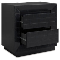 Deri Nightstand with USB Ports and Dual Drawers, Black Wood 27 Inch