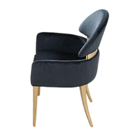 Noth Dining Armchair Set of 2, Foam Fill Black Cushions, Matte Gold-BM353118