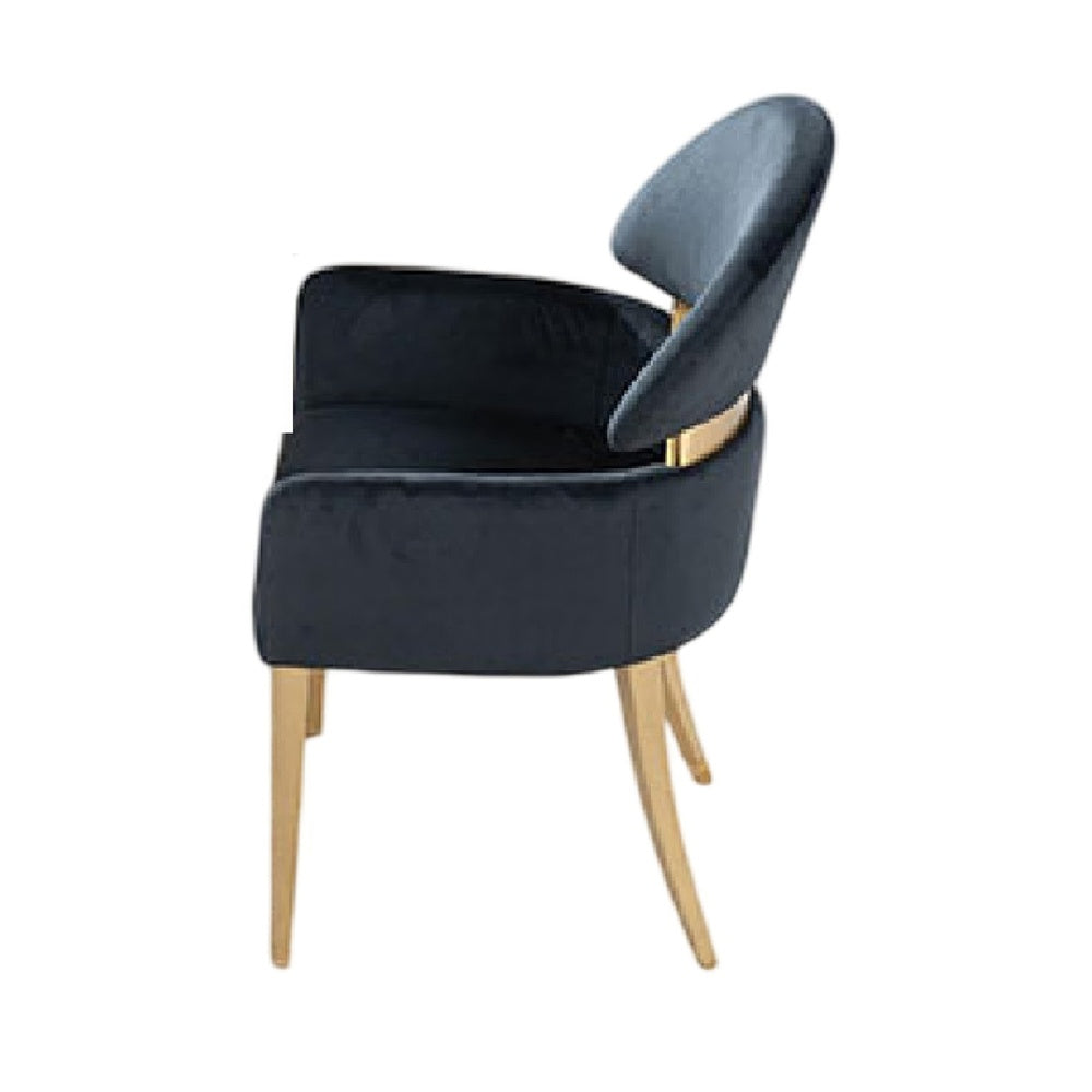 Noth Dining Armchair Set of 2, Foam Fill Black Cushions, Matte Gold-BM353118