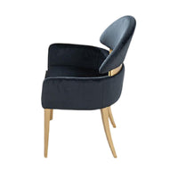 Noth Dining Armchair Set of 2, Foam Fill Black Cushions, Matte Gold-BM353118
