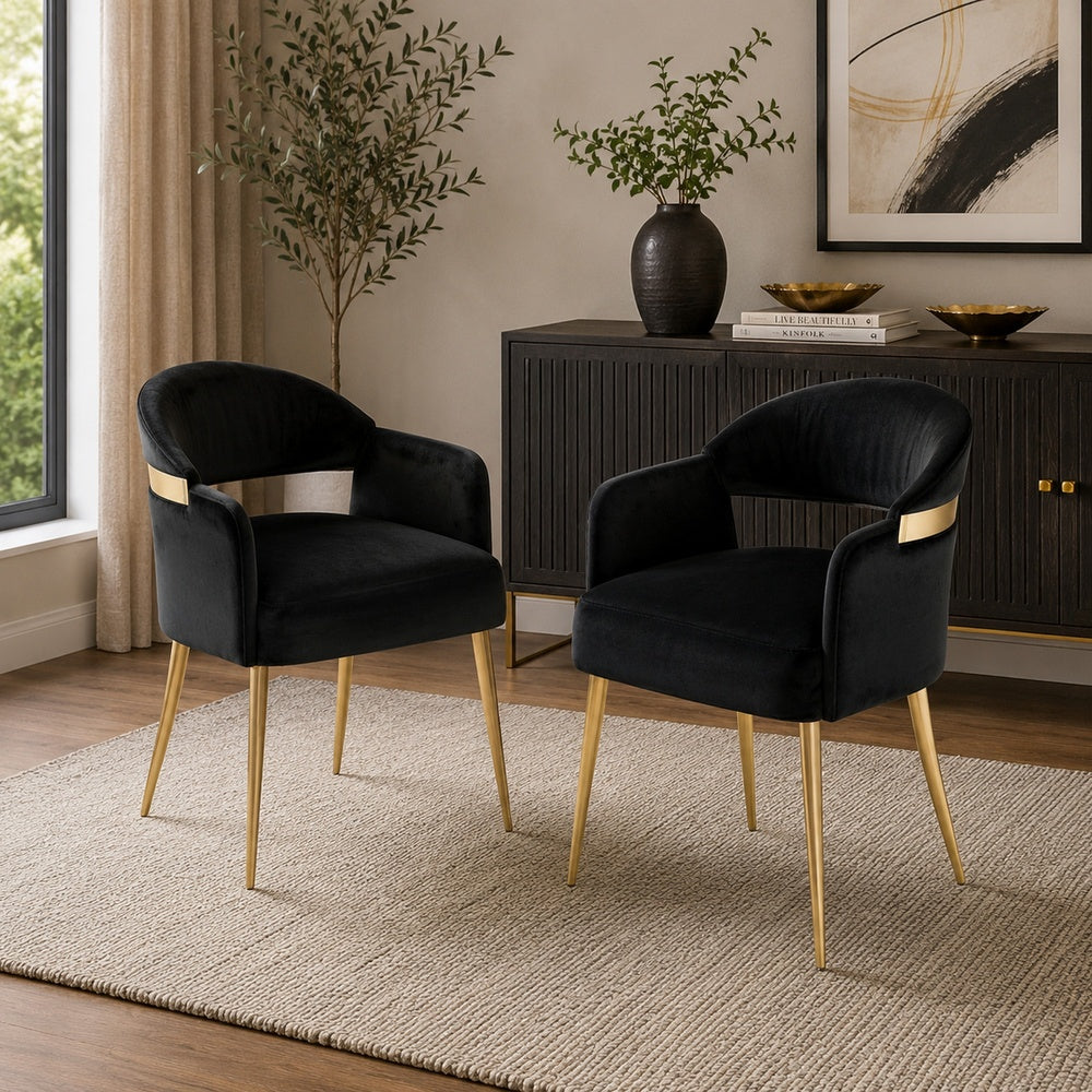 Noth Dining Armchair Set of 2, Foam Fill Black Cushions, Matte Gold-BM353118