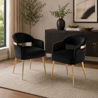 Noth Dining Armchair Set of 2, Foam Fill Black Cushions, Matte Gold-BM353118