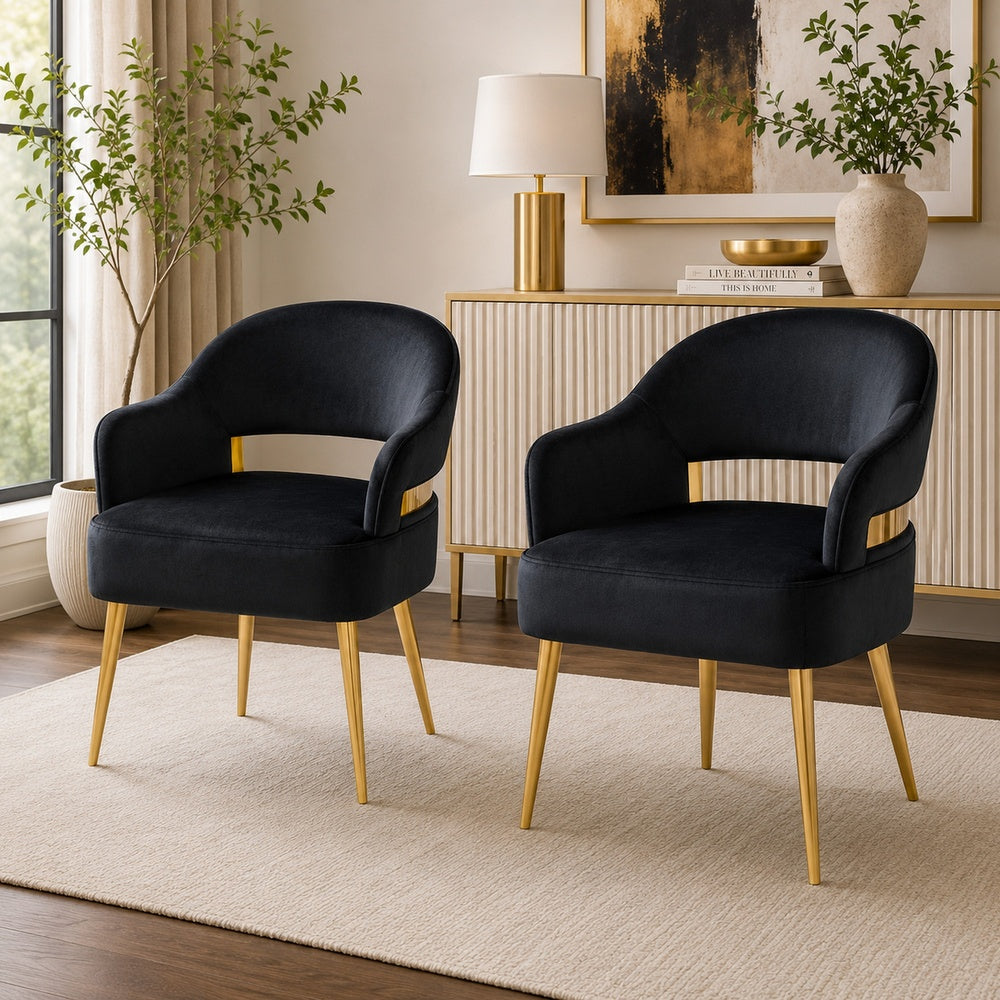 Noth Dining Armchair Set of 2, Foam Fill Black Cushions, Matte Gold-BM353118