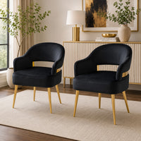 Noth Dining Armchair Set of 2, Foam Fill Black Cushions, Matte Gold-BM353118