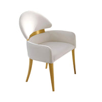 Noth Dining Armchair Set of 2, Foam Fill White Cushions, Matte Gold-BM353119