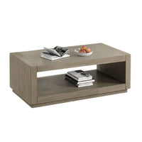Dane Coffee Table, 48 Inch Cubic, Open Shelf, Natural Oak Gray Finish  - BM353302