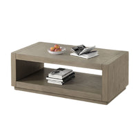 Dane Coffee Table, 48 Inch Cubic, Open Shelf, Natural Oak Gray Finish  - BM353302