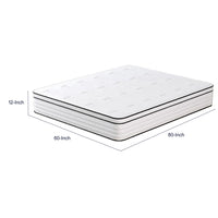 Mysa Queen Size Euro Top Mattress, Pocket Coil Springs, 12 Inch White  - BM353330
