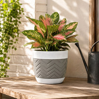 Decorative Planter, Chevron Design, Gray and White 7 Inch Terracotta-BM353416