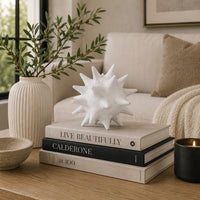 Xyla Decorative Orb with Spiked Starburst Patterns, White Resin 8 Inch-BM353485
