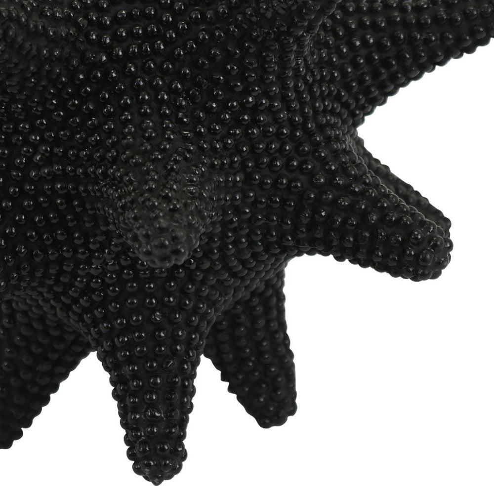 Noah Decorative Orb Sculpture with Spiked Details, Black Resin 8 Inch-BM353486