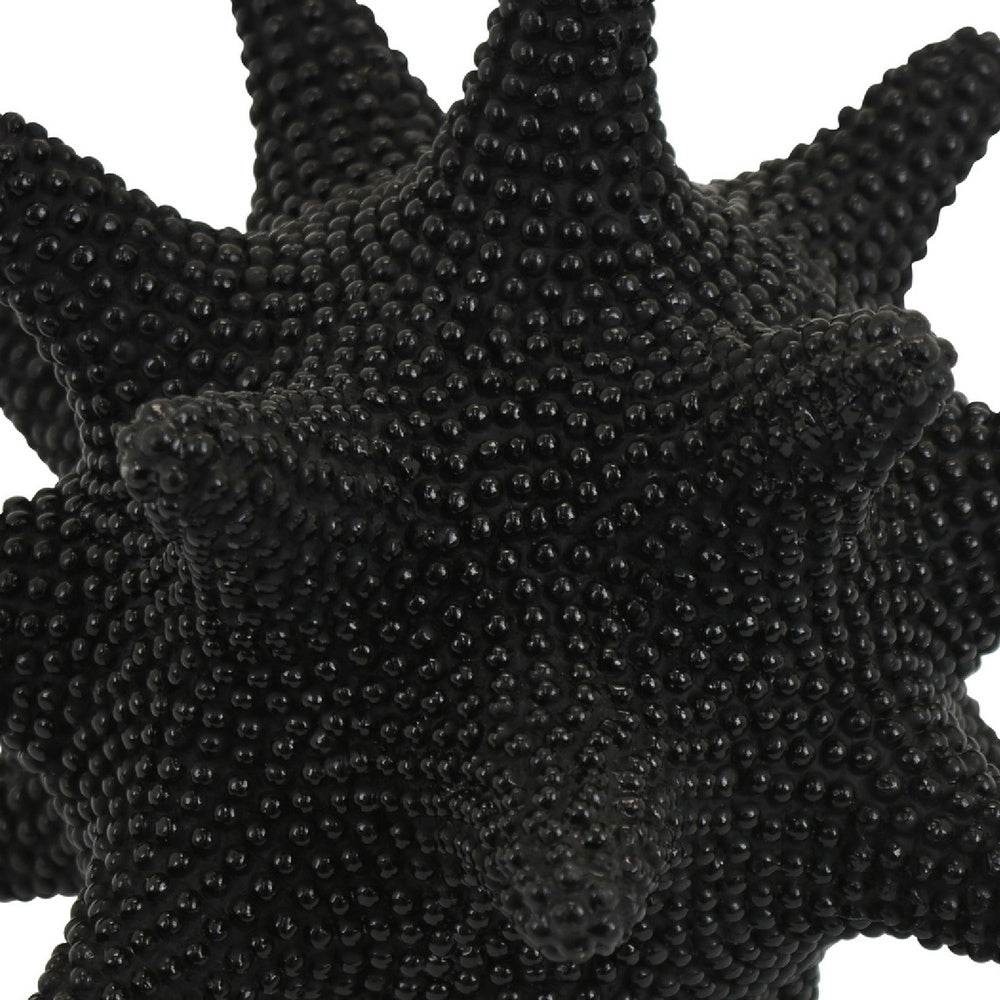 Noah Decorative Orb Sculpture with Spiked Details, Black Resin 8 Inch-BM353486