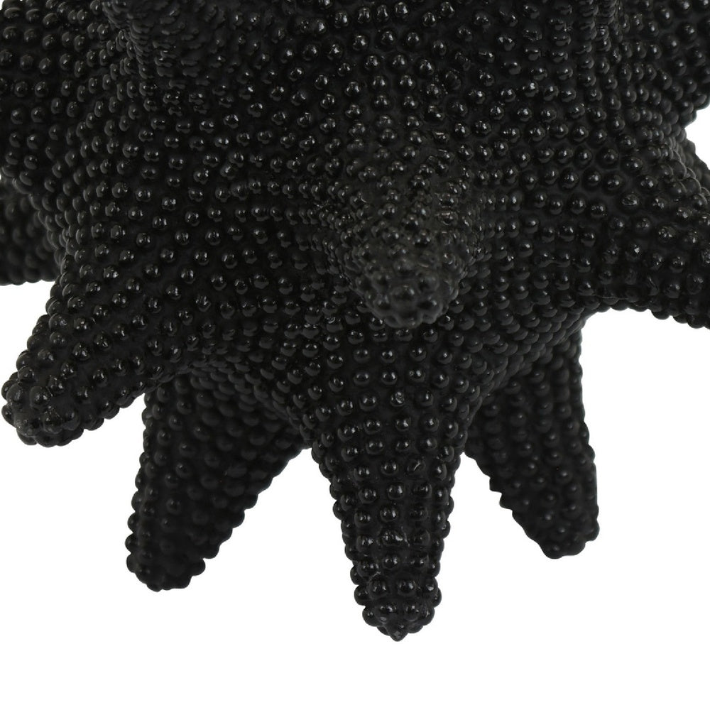 Noah Decorative Orb Sculpture with Spiked Details, Black Resin 8 Inch-BM353486