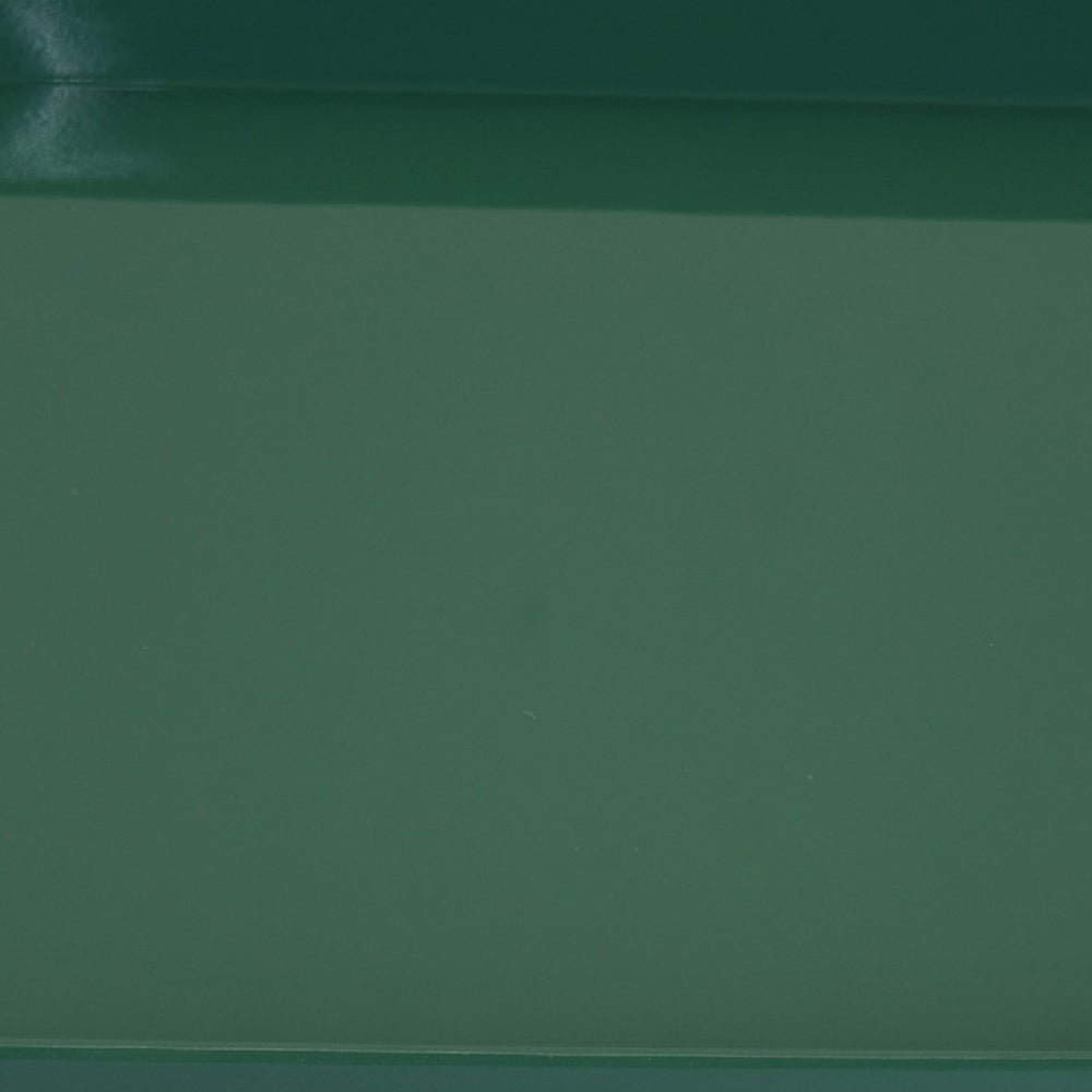 Diana Serving Tray with Integrated Handles, Green Polyurethane 19x14-BM353489