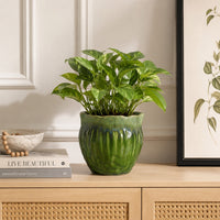 Ashly Decorative Planter with Scalloped Rim, Green Textured Ceramic 8 Inch-BM353517