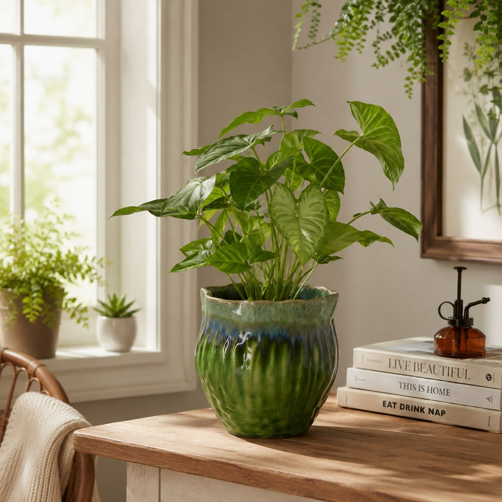 Ashly Decorative Planter with Scalloped Rim, Green Textured Ceramic 8 Inch-BM353517