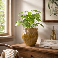 Ashly Decorative Planter with Scalloped Rim, Yellow Textured Ceramic 8 Inch-BM353519