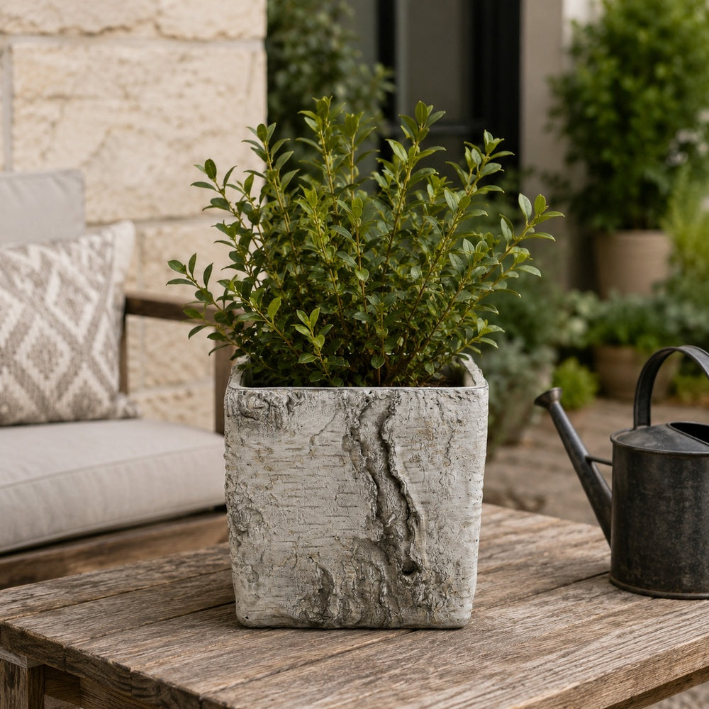 Outdoor Decorative Planter, Faux Bois Textured Terracotta, 7 Inch Gray-BM353540