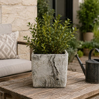 Outdoor Decorative Planter, Faux Bois Textured Terracotta, 7 Inch Gray-BM353540