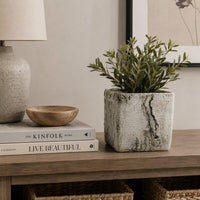 Outdoor Decorative Planter, Faux Bois Textured Terracotta, 7 Inch Gray-BM353540