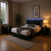Queen Bedroom Set, Piano Black, Chrome, Chrome Silver Wood, 2 Piece Set with Nightstand