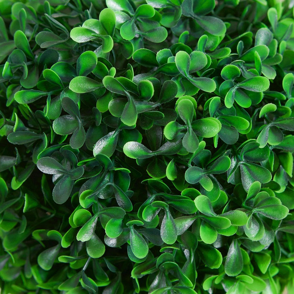Lesli Double Ball Boxwood Topiary Trees, Set of 2, Green 24 Inch - BM354405