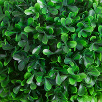 Lesli Double Ball Boxwood Topiary Trees, Set of 2, Green 24 Inch - BM354405