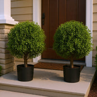 Yana Boxwood Topiary Tree with Pot, Set of 2, Green Poly Silk 22 Inch - BM354408