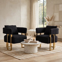 Sery Accent Sofa Chair Set of 2, Black Teddy Fleece, Gold Square Legs